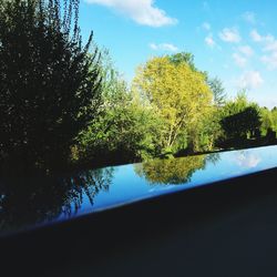 Reflection of trees on wet window