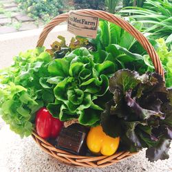 High angle view of vegetables in basket