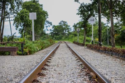 Surface level of railroad track along trees