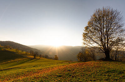 Scenic view of field against sky