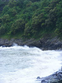 Scenic view of sea against trees