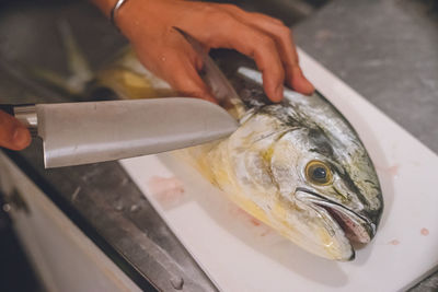 A man's hand processing fish in the kitchen fish sheila from miyako island, okinawa prefecture