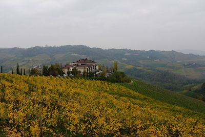 Cuneo region