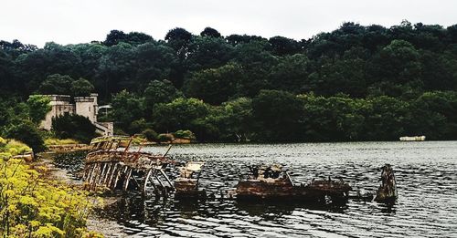 Scenic view of lake against trees