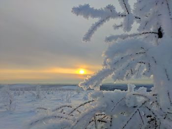 Snow covered land against sky during sunset