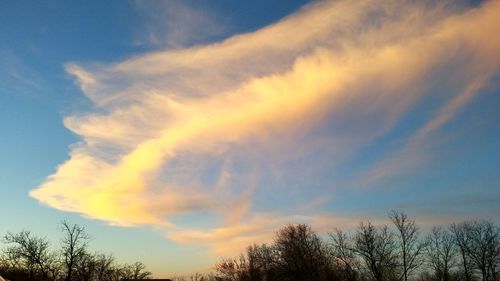 Low angle view of silhouette trees against sky