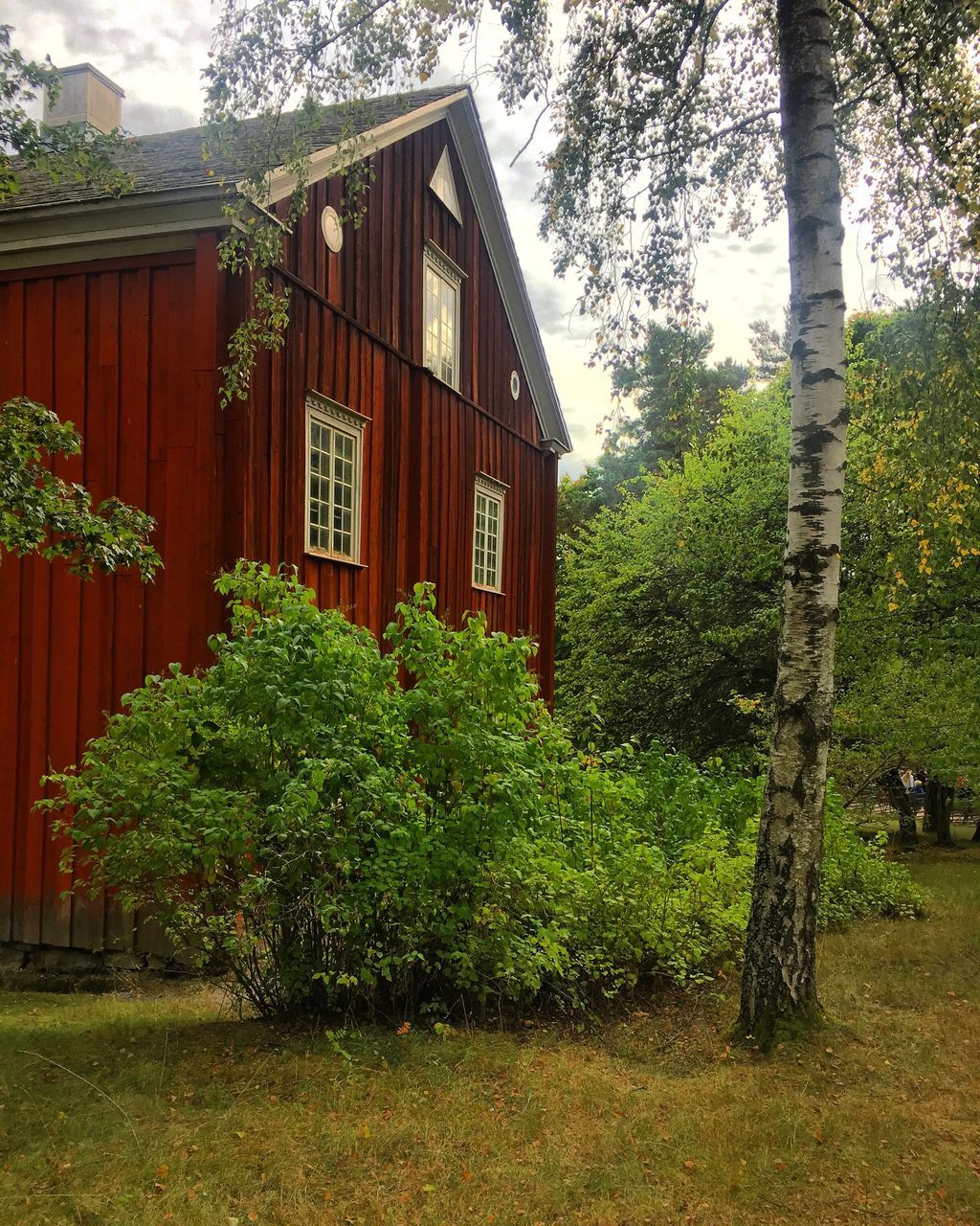 EXTERIOR OF HOUSE BY PLANTS