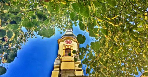 Low angle view of trees against sky