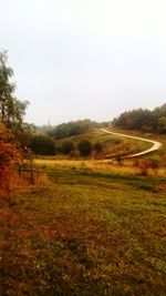 Scenic view of field against clear sky