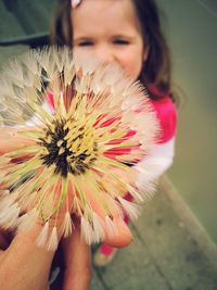 Close-up of girl holding pink flower