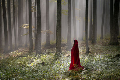 Woman with red hood standing by tree trunks in forest