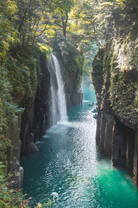 Scenic view of waterfall in forest