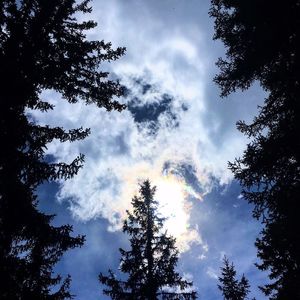 Low angle view of trees against cloudy sky