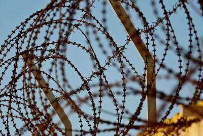 Close-up of barbed wire against sky