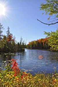 Scenic view of lake against sky during autumn