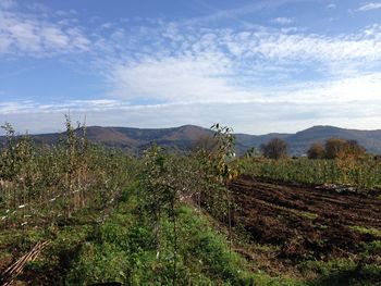 Scenic view of landscape against cloudy sky