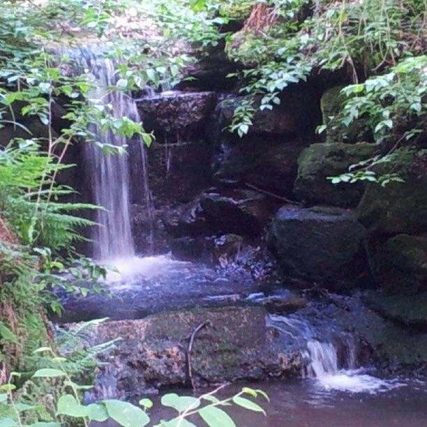 water, waterfall, flowing water, motion, flowing, rock - object, forest, beauty in nature, nature, long exposure, stream, tree, scenics, plant, growth, river, rock formation, day, rock, outdoors