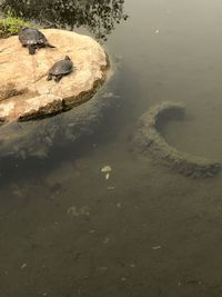 High angle view of rocks on beach