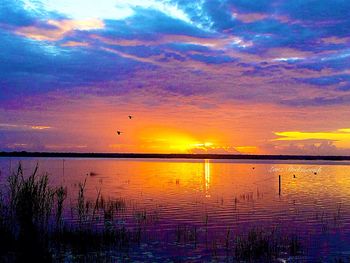 Scenic view of sunset over sea