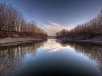 Reflection of trees in calm lake