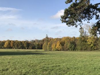 Scenic view of field against sky