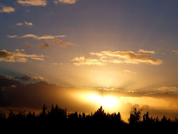 Silhouette trees against sky during sunset