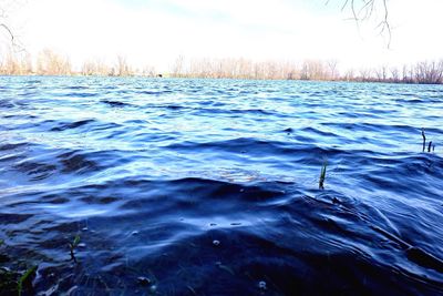 Scenic view of lake during winter