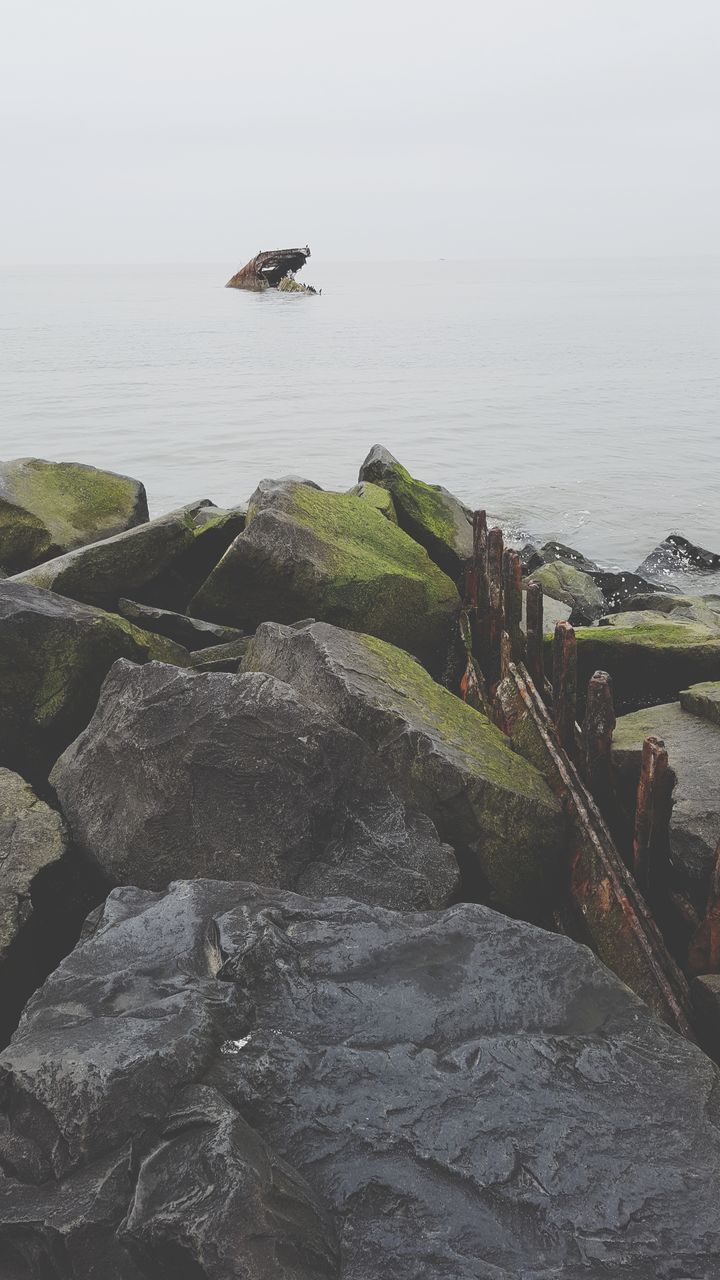 water, rock, sea, rock - object, solid, beauty in nature, nature, tranquility, day, scenics - nature, no people, tranquil scene, sky, animal wildlife, animal, animal themes, animals in the wild, vertebrate, outdoors