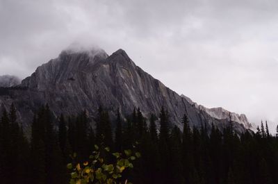 Low angle view of mountain against sky