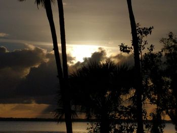 Silhouette trees by sea against sky during sunset