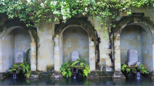 Plants in front of built structure