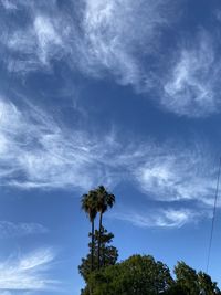 Low angle view of palm trees against blue sky