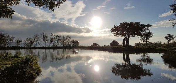 Reflection of palm trees in lake during sunset