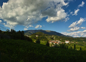 Scenic view of field by buildings against sky