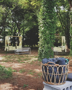 Empty chairs and table against trees in park