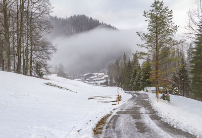 Snow covered road by trees against sky