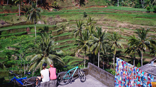 Rear view of people sitting on palm trees