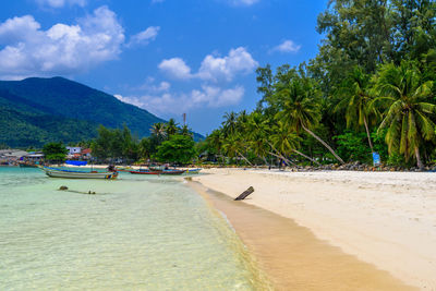 Scenic view of beach against sky