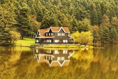 Reflection of trees in water