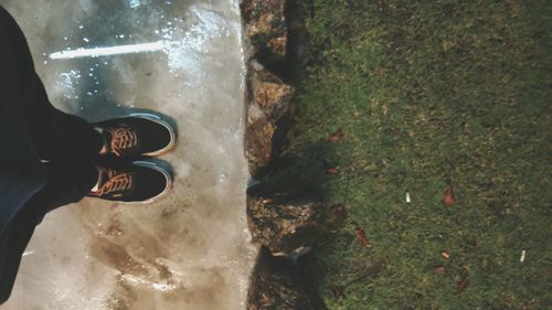 Low section of person standing by water