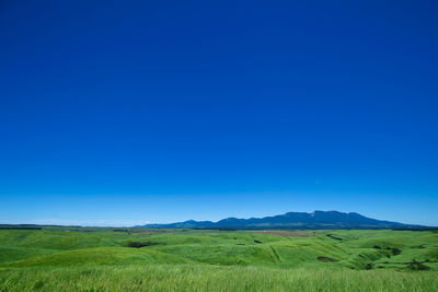 Scenic view of field against clear blue sky