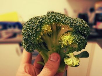 Cropped hand holding broccoli in kitchen