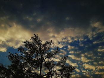 Low angle view of silhouette tree against sky during sunset