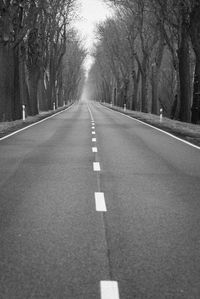 Road amidst trees