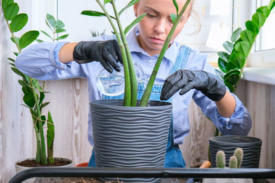 Gardener woman transplants indoor plants and use a shovel on table. zamioculcas concept of plants