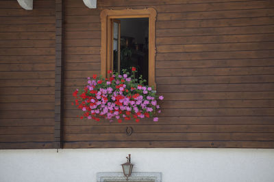 Flower pot against brick wall