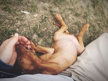 High angle view of man lying on bed