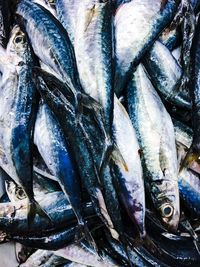 Close-up of fish for sale in market