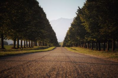 Road amidst trees against sky