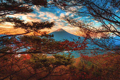 Scenic view of trees against mountain during sunset